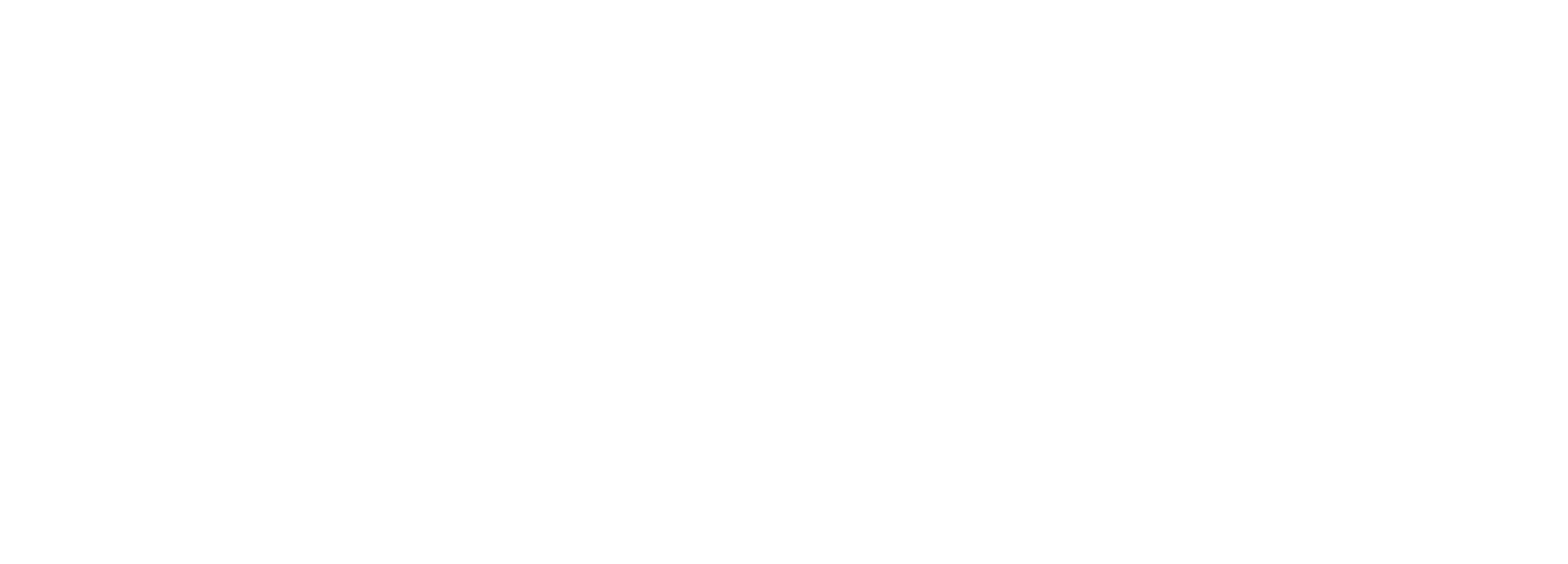 GEOLINK